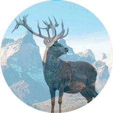 Чем отличается жақпа Сусталит от других средств